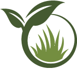 Strive Petunia Planting