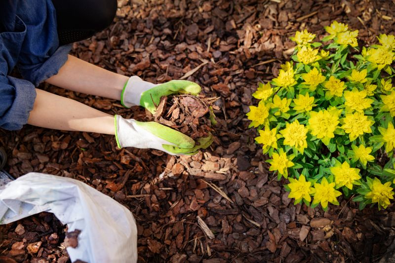 Pine Bark Mulch Installation in Honolulu, HI