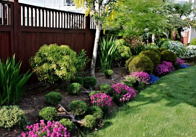 Residential Mulching in Honolulu, HI